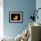 Orion Nebula-Terry Why-Framed Photographic Print displayed on a wall