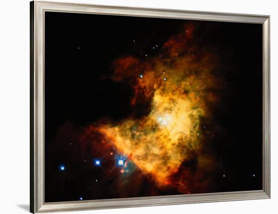 Orion Nebula-Terry Why-Framed Photographic Print