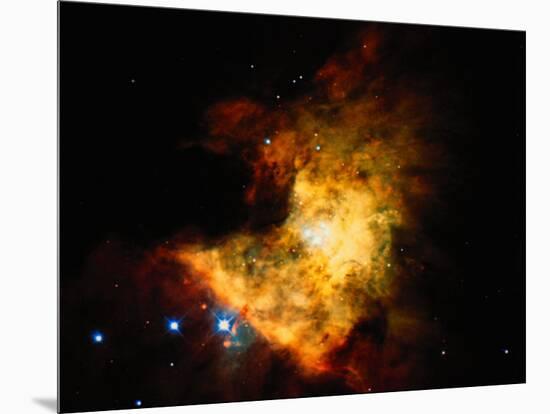 Orion Nebula-Terry Why-Mounted Photographic Print