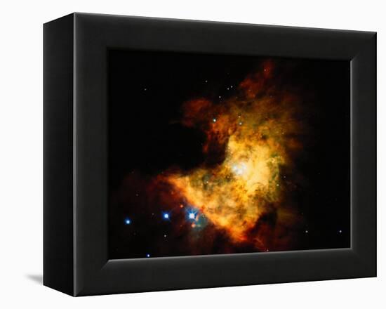 Orion Nebula-Terry Why-Framed Premier Image Canvas