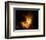 Orion Nebula-Terry Why-Framed Photographic Print