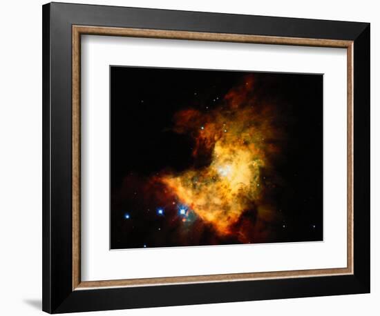 Orion Nebula-Terry Why-Framed Photographic Print