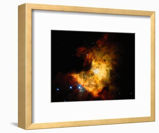 Orion Nebula-Terry Why-Framed Photographic Print