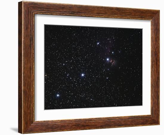 Orion's Belt, Horsehead Nebula And Flame Nebula-Stocktrek Images-Framed Photographic Print