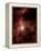 Orion's Inner Beauty-Stocktrek Images-Framed Premier Image Canvas