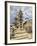 Orione Fountain, Clock Tower and Duomo, Messina, Sicily, Italy, Europe-Richard Cummins-Framed Photographic Print