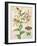 Oripet Lily Collage-Pamela Gladding-Framed Art Print