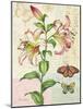 Oripet Lily Collage-Pamela Gladding-Mounted Art Print