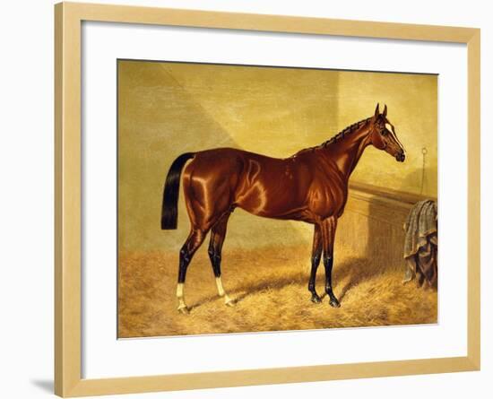 Orlando, a Bay Racehorse in a Loosebox, 1845-John Frederick Herring I-Framed Giclee Print