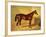 Orlando, a Bay Racehorse in a Loosebox, 1845-John Frederick Herring I-Framed Giclee Print