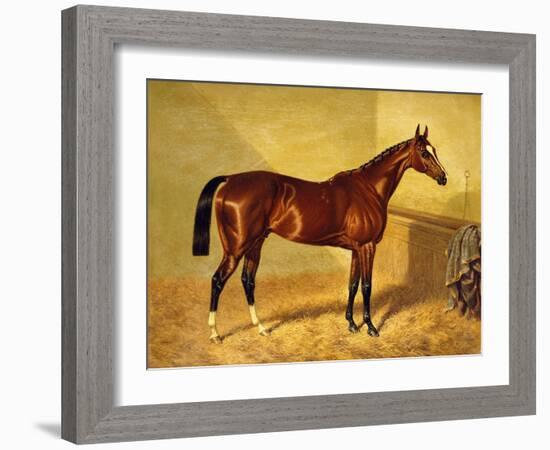 Orlando, a Bay Racehorse in a Loosebox, 1845-John Frederick Herring I-Framed Giclee Print