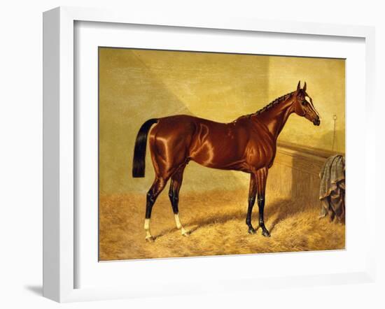 Orlando, a Bay Racehorse in a Loosebox, 1845-John Frederick Herring I-Framed Giclee Print