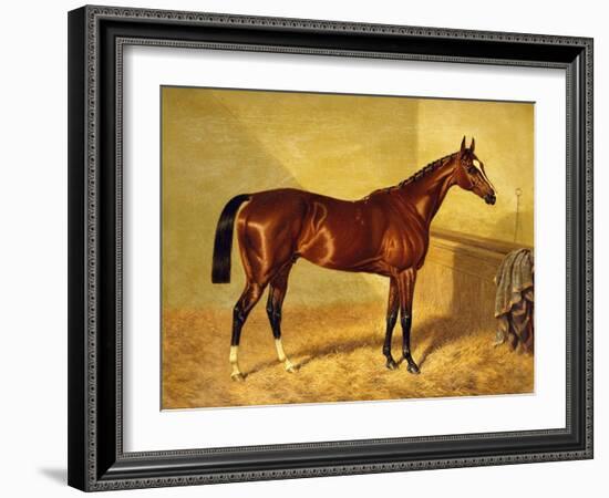 Orlando, a Bay Racehorse in a Loosebox, 1845-John Frederick Herring I-Framed Giclee Print