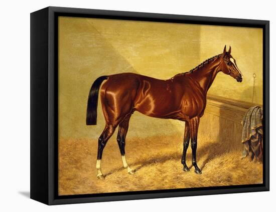 Orlando, a Bay Racehorse in a Loosebox, 1845-John Frederick Herring I-Framed Premier Image Canvas