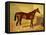 Orlando, a Bay Racehorse in a Loosebox-John Frederick Herring I-Framed Premier Image Canvas