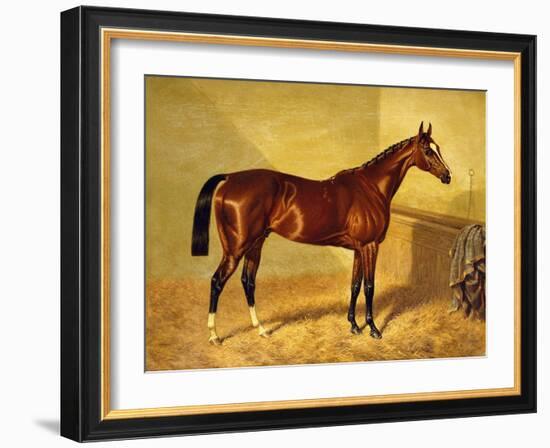 Orlando, a Bay Racehorse in a Loosebox-John Frederick Herring I-Framed Giclee Print