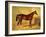 Orlando, a Bay Racehorse in a Loosebox-John Frederick Herring I-Framed Giclee Print