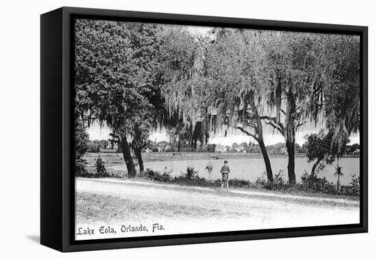 Orlando, Florida - Lake Eola View-Lantern Press-Framed Stretched Canvas