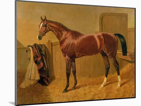 Orlando', Winner of the Derby in 1844-John Frederick Herring I-Mounted Giclee Print