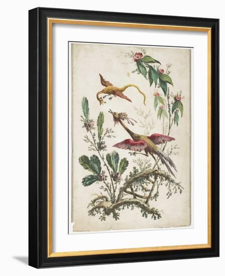 Ornament. Chinoiserie. Flowers and Birds., 1770-Jean Baptiste Pillement-Framed Giclee Print