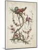 Ornament. Chinoiserie. Flowers and Birds., 1770-Jean Baptiste Pillement-Mounted Giclee Print