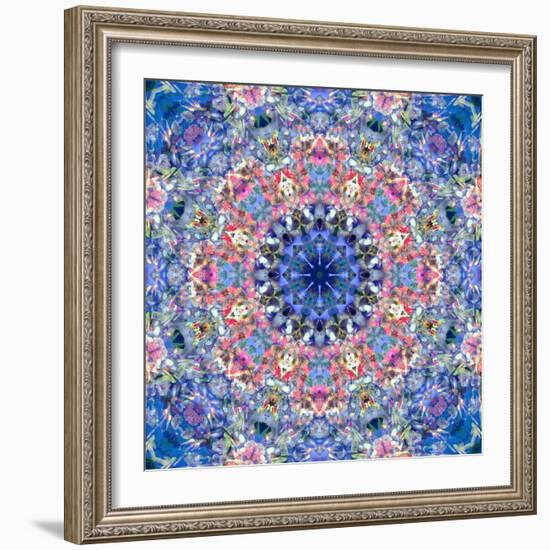 Ornament from Flower Photographs-Alaya Gadeh-Framed Photographic Print