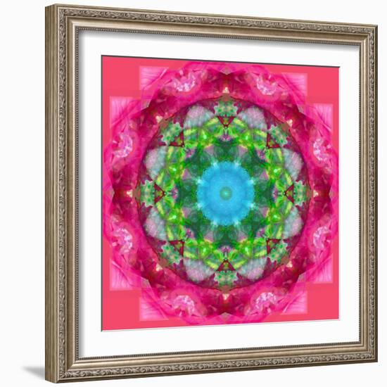 Ornament from Flower Photographs-Alaya Gadeh-Framed Photographic Print