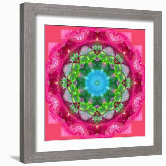 Ornament from Flower Photographs-Alaya Gadeh-Framed Photographic Print