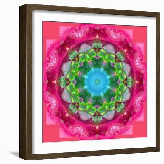 Ornament from Flower Photographs-Alaya Gadeh-Framed Photographic Print