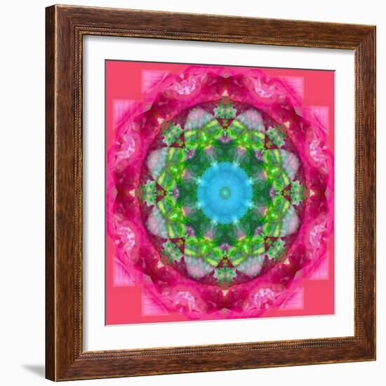 Ornament from Flower Photographs-Alaya Gadeh-Framed Photographic Print