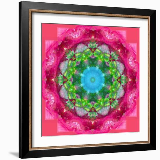 Ornament from Flower Photographs-Alaya Gadeh-Framed Photographic Print