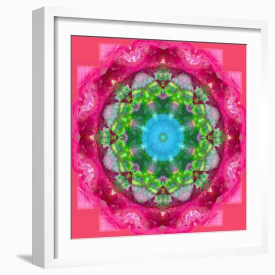 Ornament from Flower Photographs-Alaya Gadeh-Framed Photographic Print