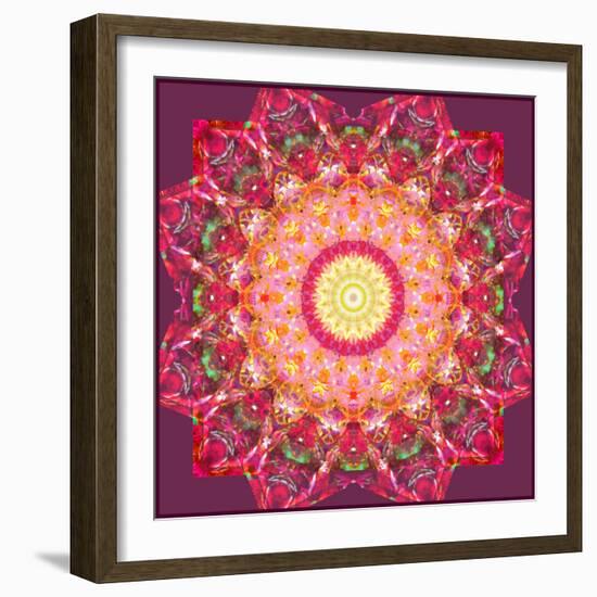 Ornament from Flower Photographs-Alaya Gadeh-Framed Photographic Print