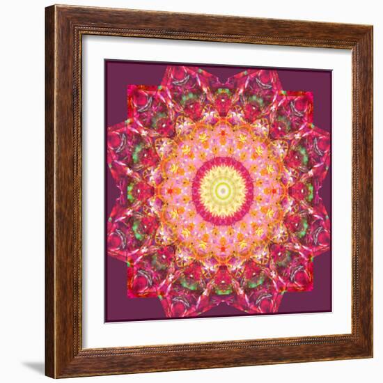 Ornament from Flower Photographs-Alaya Gadeh-Framed Photographic Print