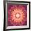 Ornament from Flower Photographs-Alaya Gadeh-Framed Photographic Print