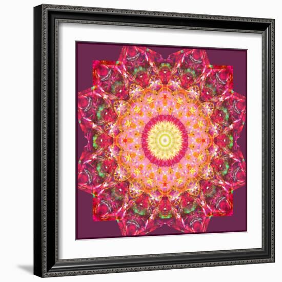 Ornament from Flower Photographs-Alaya Gadeh-Framed Photographic Print