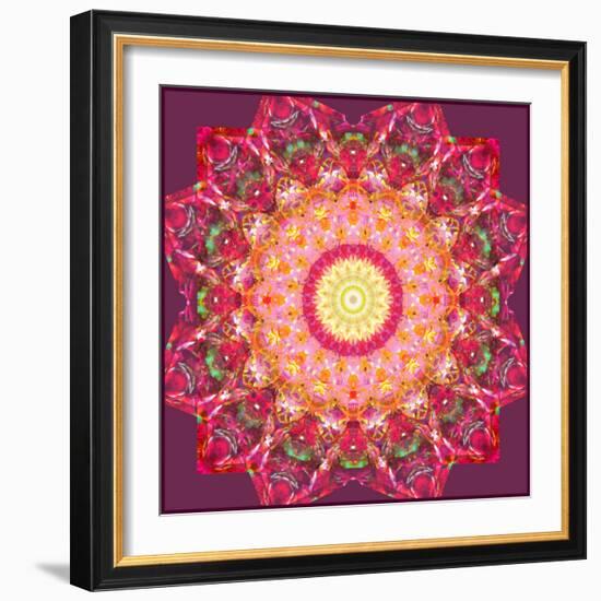 Ornament from Flower Photographs-Alaya Gadeh-Framed Photographic Print