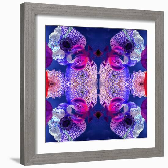 Ornament from Flowers, Photographic Layer Work-Alaya Gadeh-Framed Photographic Print