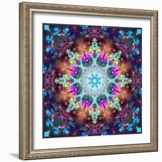 Ornament from Flowers-Alaya Gadeh-Framed Photographic Print