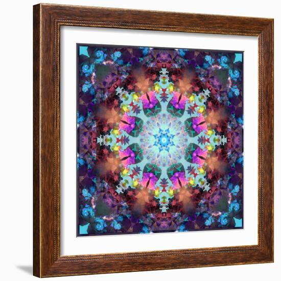 Ornament from Flowers-Alaya Gadeh-Framed Photographic Print