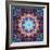 Ornament from Flowers-Alaya Gadeh-Framed Photographic Print