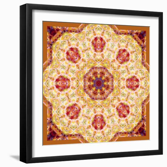 Ornament from Orchids in Warm Colors-Alaya Gadeh-Framed Photographic Print