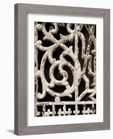 Ornament I-Jim Christensen-Framed Photographic Print