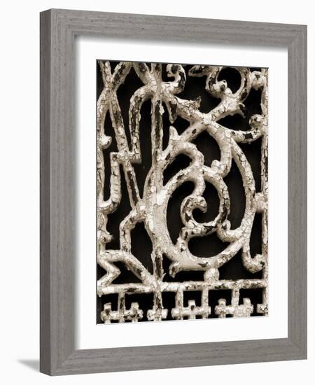 Ornament III-Jim Christensen-Framed Photographic Print