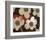 Ornament White Blooms-Joadoor-Framed Art Print