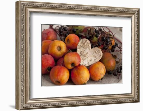 Ornamental Apples, Apples, Heart-Andrea Haase-Framed Photographic Print