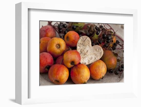 Ornamental Apples, Apples, Heart-Andrea Haase-Framed Photographic Print