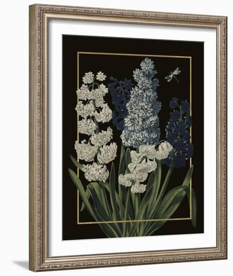 Ornamental - Blois Luxe-Stephanie Monahan-Framed Giclee Print