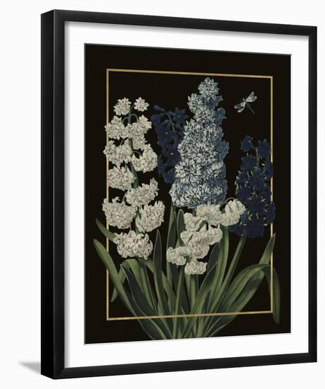 Ornamental - Blois Luxe-Stephanie Monahan-Framed Giclee Print