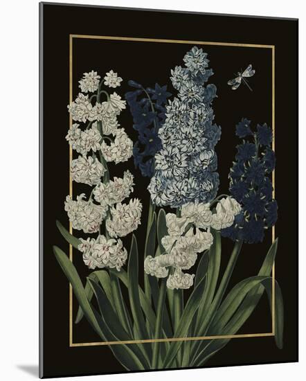 Ornamental - Blois Luxe-Stephanie Monahan-Mounted Giclee Print